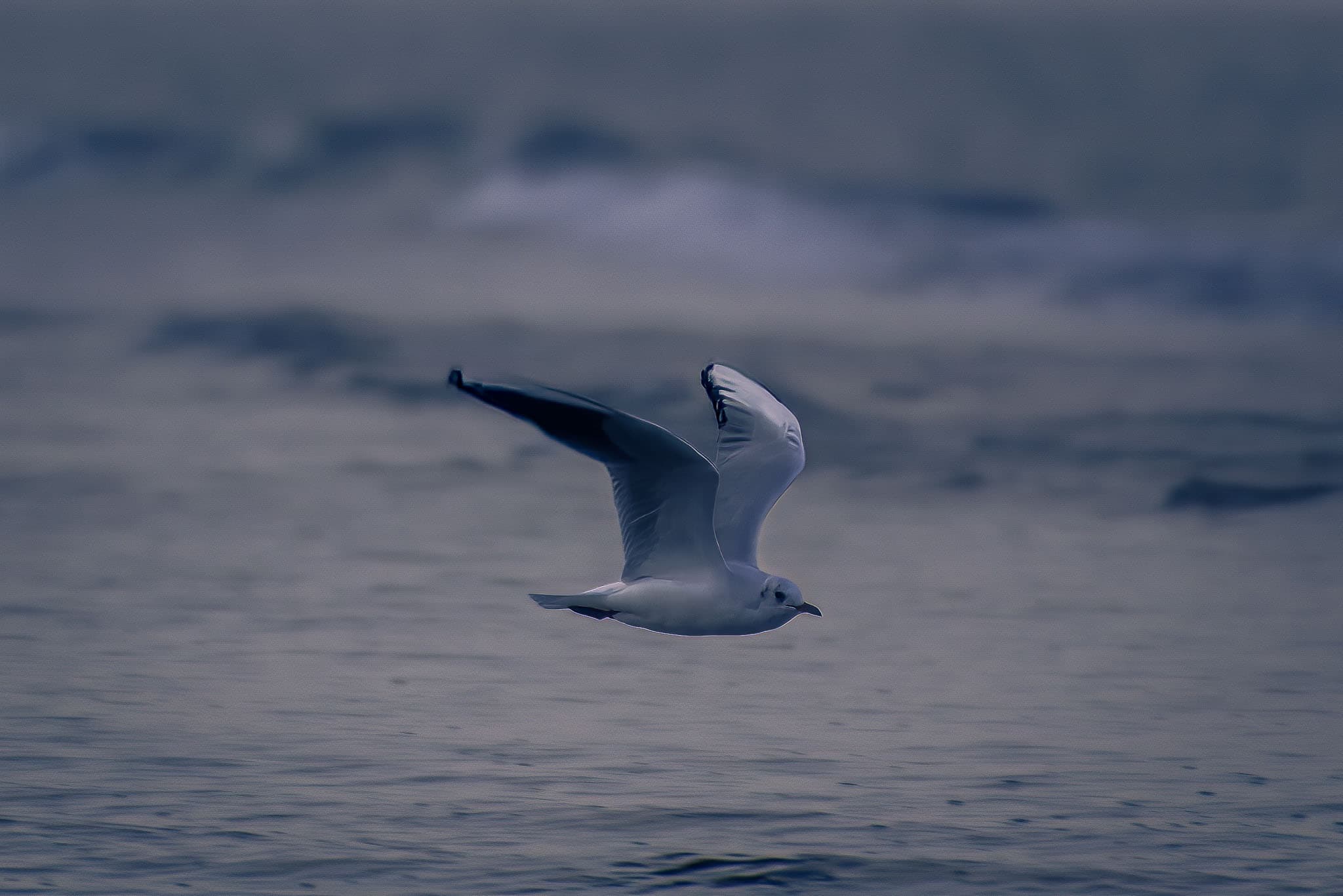 Bg6 - sea