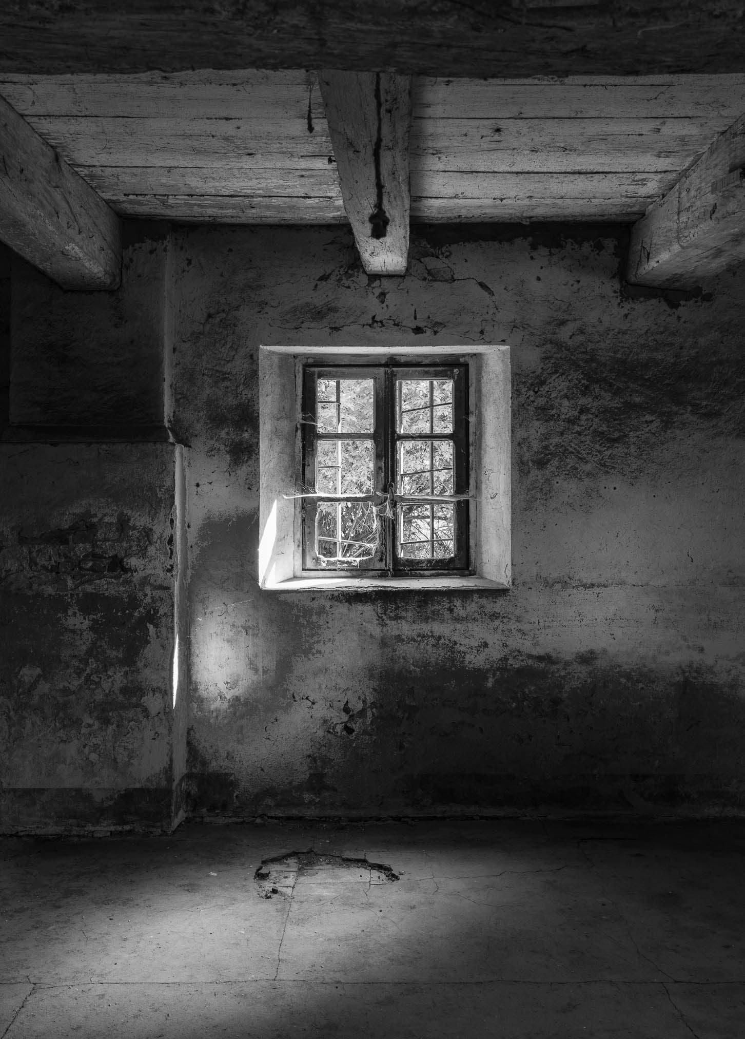 Bg20 - black-and-white