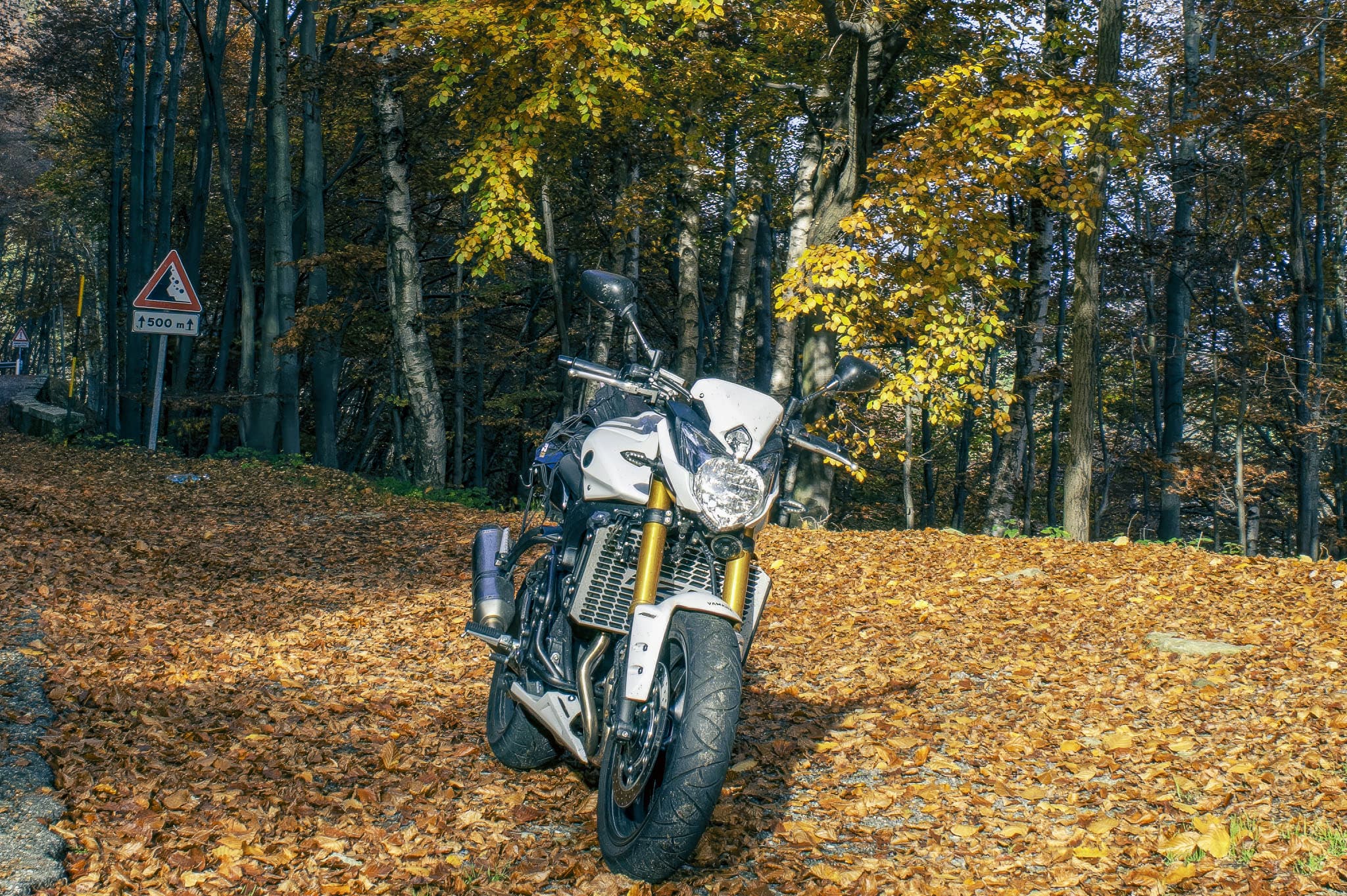 Bg4 - rides